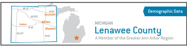 lenawee county demographics