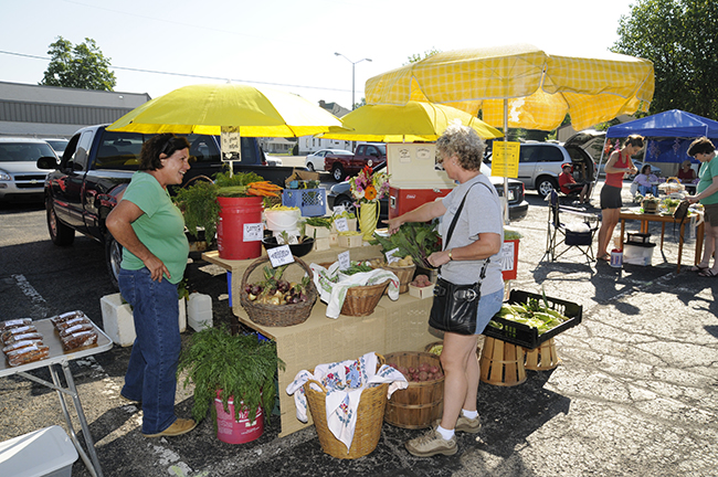 Health Care and Medical Resources in Lenawee County